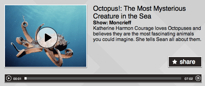 octopus book ireland